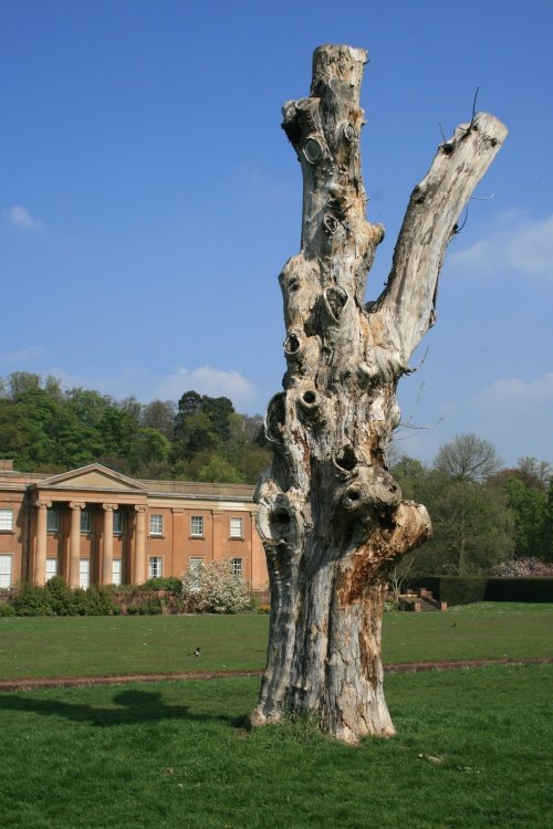 Himley Hall & Park