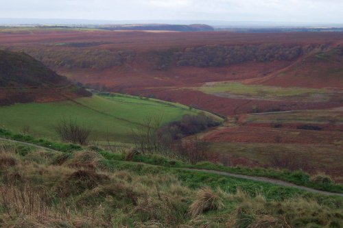 North York Moors National Park