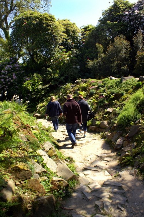 Lost Gardens of Heligan