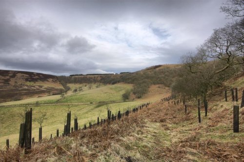 North York Moors National Park