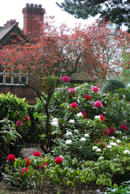 Wightwick Manor with springtime blooms