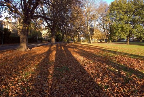 Pearson Park, Autumn