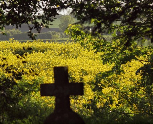 View from the Churchyard, Hillesden, Bucks