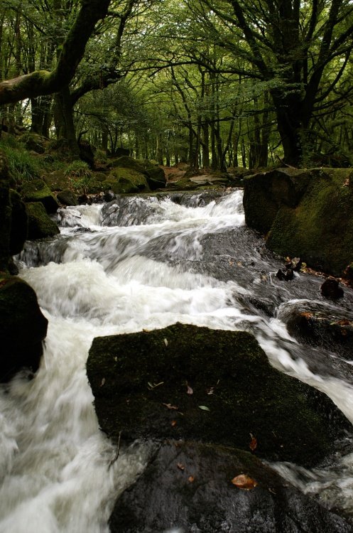 Golitha Falls