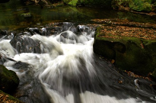 Golitha Falls