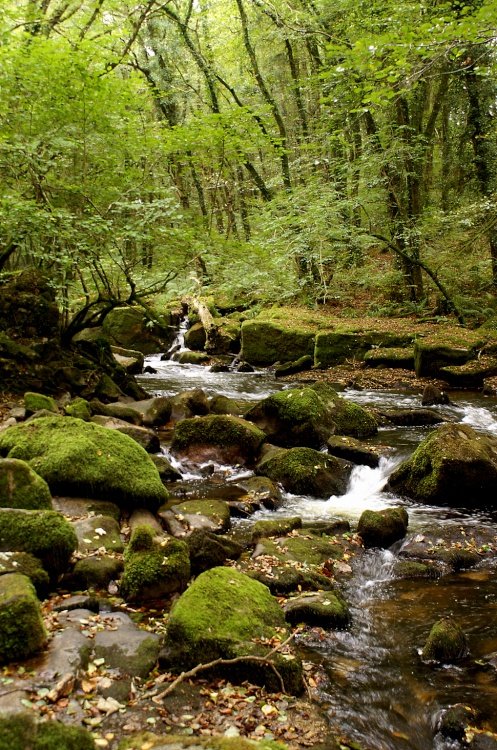 A bend in the river.