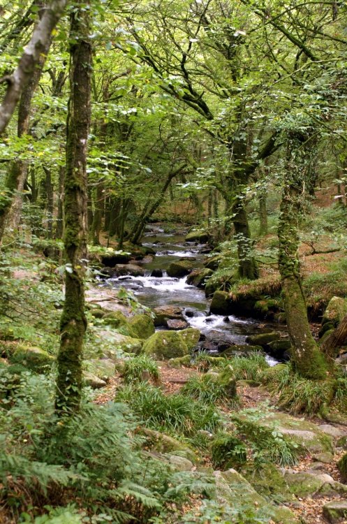 Looking narrow here.