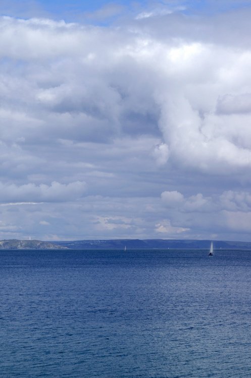 Looking out to Black Head on the left.