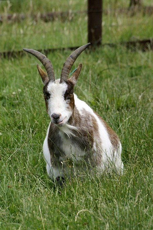 Hainault Forest Country Park