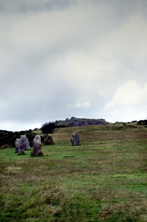 Bodmin Moor