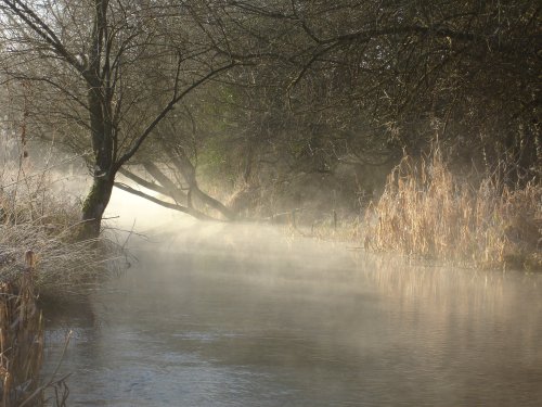 Morning mist 2