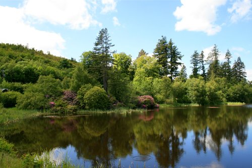 The Lake at Cragside