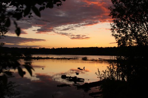 Delamere Forest Park