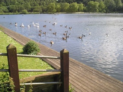 Moses Gate Country Park near Little Lever