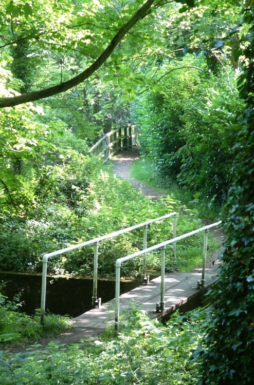 Footpath over the Danestream