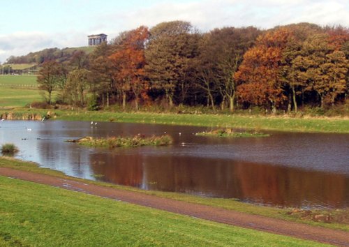 Herrington Country Park