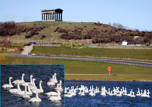 Herrington Country Park