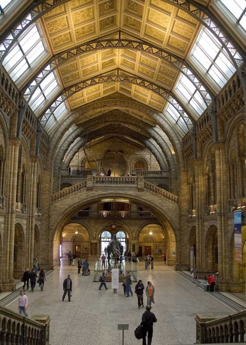 Natural History Museum
