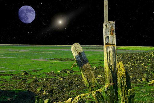 Riverside Country Park, Lower Gillingham