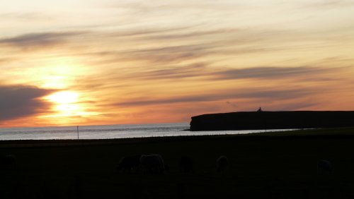 Birsay