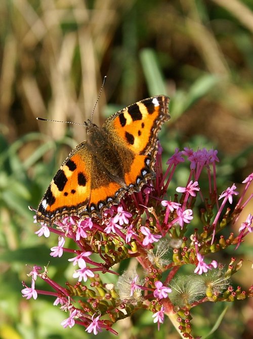 Seen by the harbour.