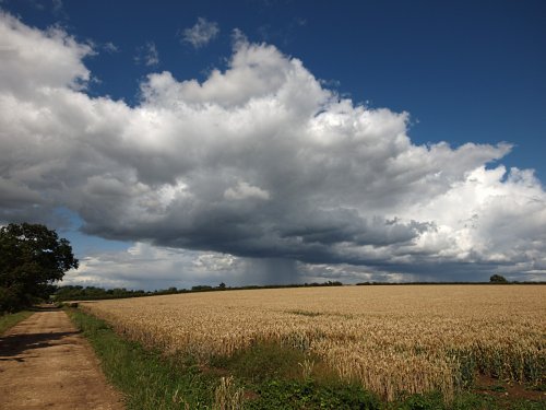 Very local shower, Botolph Claydon, Bucks