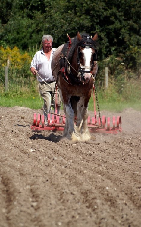 The way it used to be done.