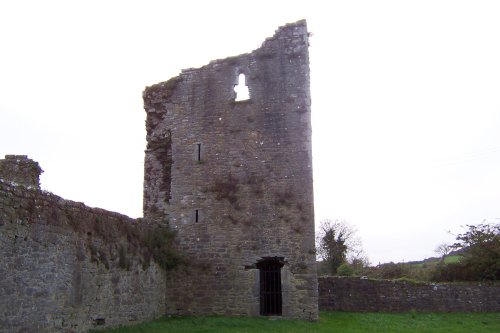 Remains of Ballybeg Priory Tower