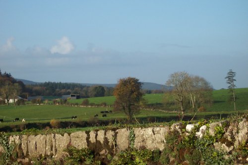 County Cork