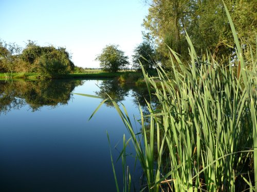 Fishing at Milton Ponds near Thame