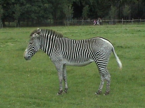 Whipsnade Wild Animal Park