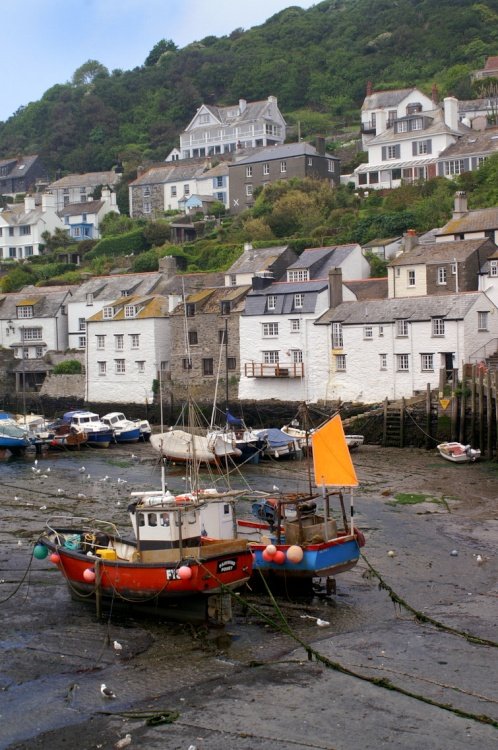 Polperro harbour.