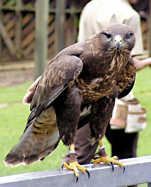 Bet I can outstare you.