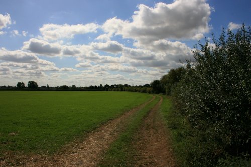 Fields near Willerby