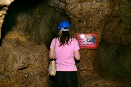 Great Orme Country Park