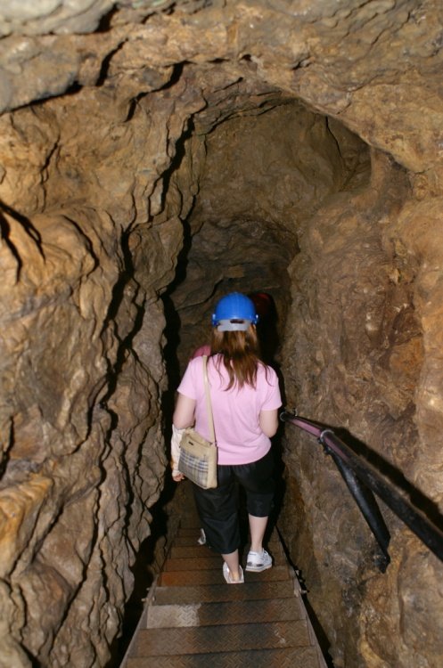 Great Orme Country Park