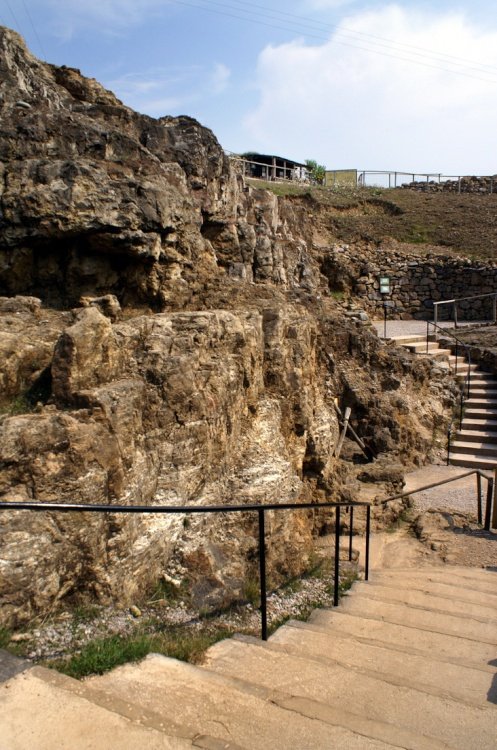 Great Orme Country Park