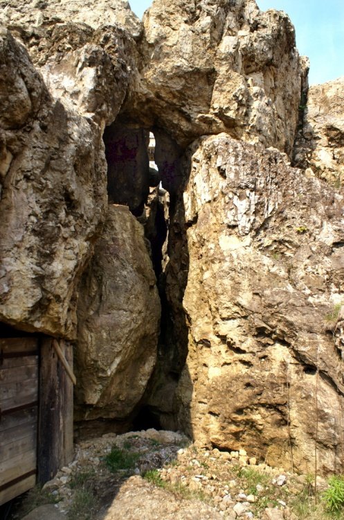 Great Orme Country Park