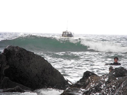 Surf's up at Bude