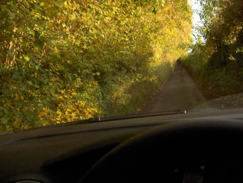 Iford Lane, going to Iford Manor