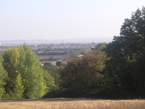 One Tree Hill Country Park, Essex
