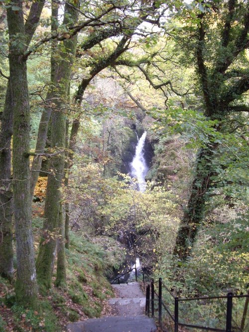 Aira Force