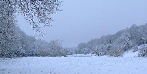 Went Valley in Winter 2008