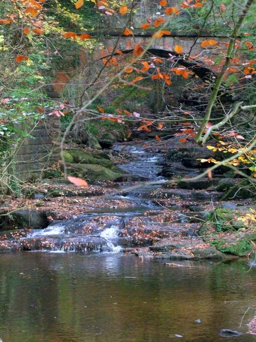 Indian Summer October 2009