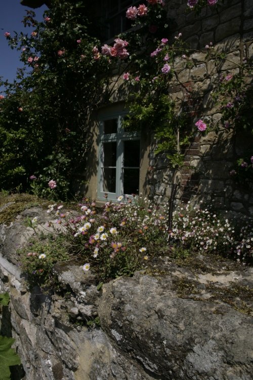Cottage in village