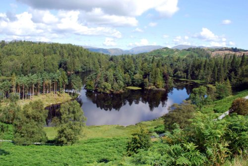 Tarn Hows