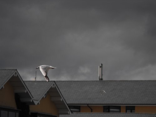 Threatening sky over Bettystown
