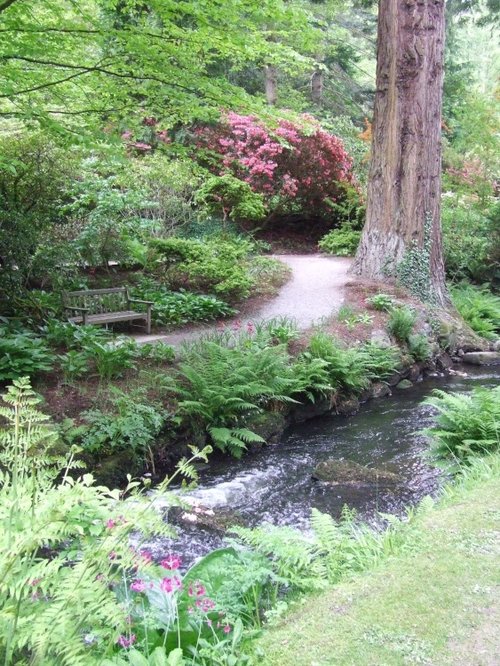 Bodnant woods and river