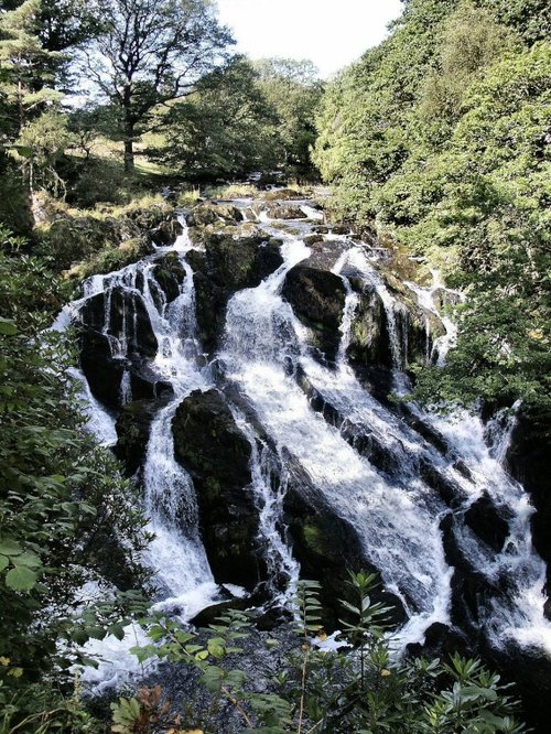 Swallow falls
