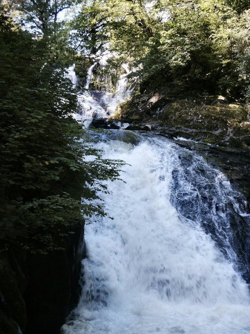 Swallow falls